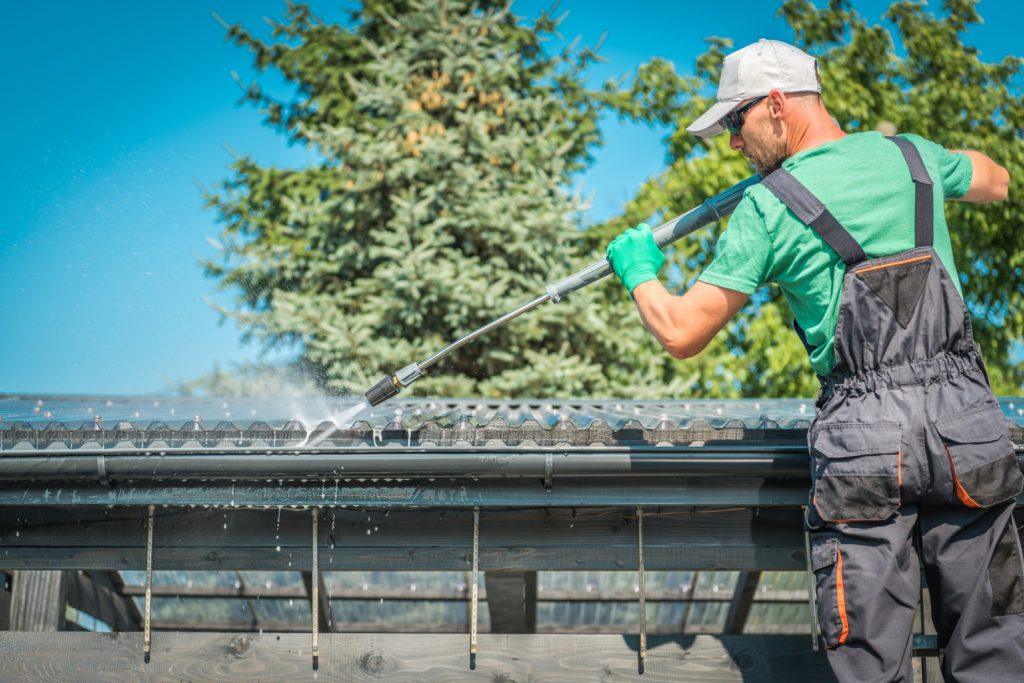 Factoria WA Roof Cleaning