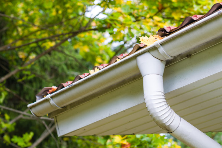 gutter cleaning annapolis maryland